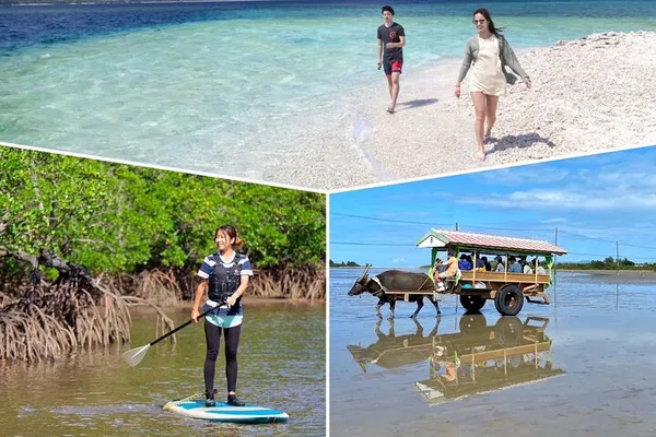 Iriomote Island Adventure: Paddle, Explore, and Discover Yubujima's Coral Wonders!