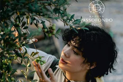 Olive Grove Stroll & Sicilian Brunch: A Trapani Culinary Escape