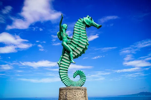 Uncover Puerto Vallarta's Secrets: A Personalized Private Tour