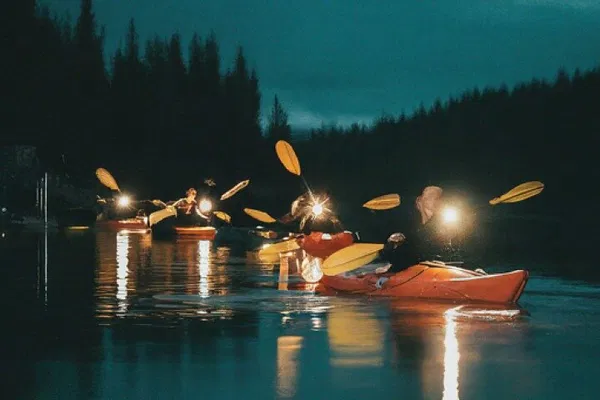 Amelia Island Paddle: See Wildlife at Night!