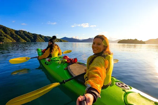 Paddle into Paradise: Half-Day Sea Kayak Adventure in Marlborough Sounds
