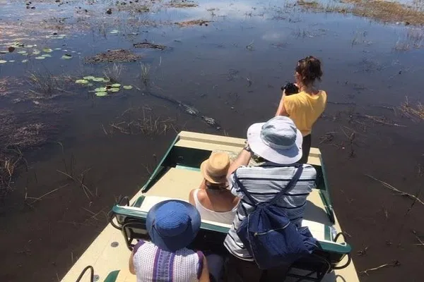 Unforgettable Everglades Escape: Private Airboat Adventure in Miami