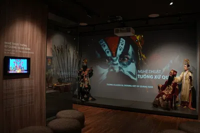 Da Nang Museum Ticket: Explore Vietnam's Culture