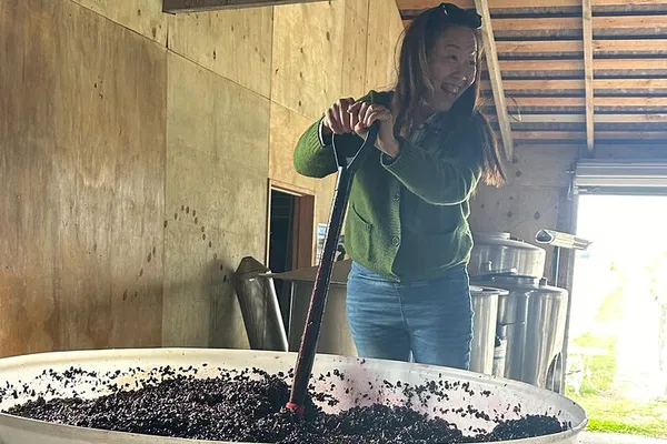 Martinborough Wine Tour: A Kosher Culinary Escape from Wellington