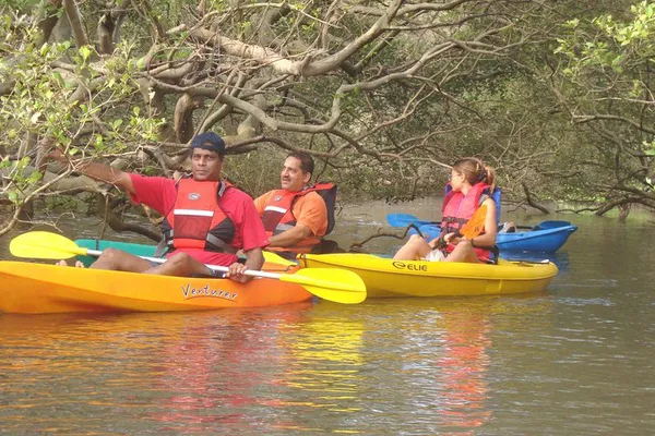 Glide Through Goa's Green Labyrinth: Mangrove Kayaking Adventure