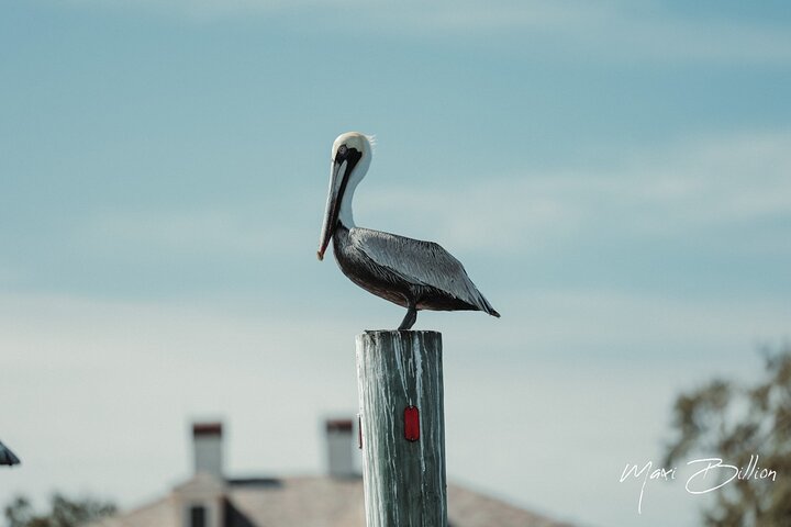 Experience Image img2