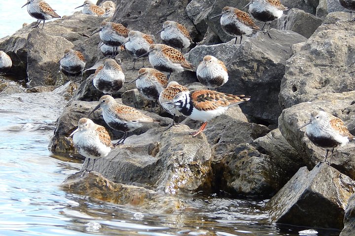 Experience Image img1