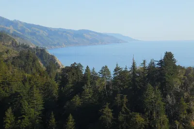 Big Sur Tour: See Bixby Bridge & Redwood Forest