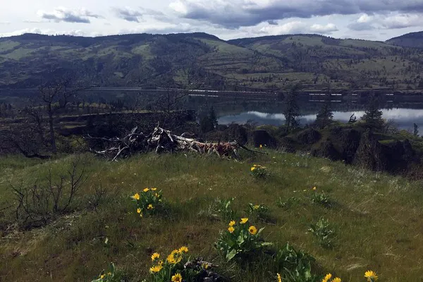 Conquer Columbia Gorge: A Day of Hiking & Natural Wonders!