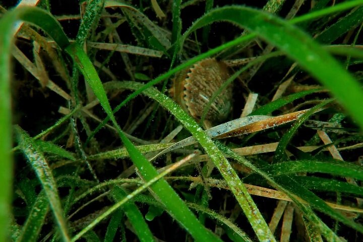 Experience Image img1