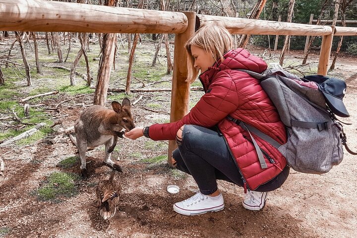 Experience Image img3