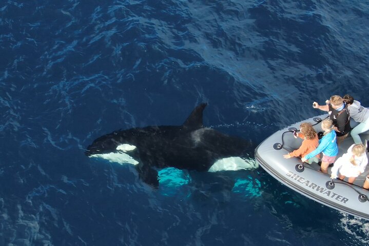 Experience Image img4