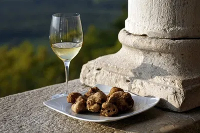 Taste Istria: Food & Wine Tour from Trieste