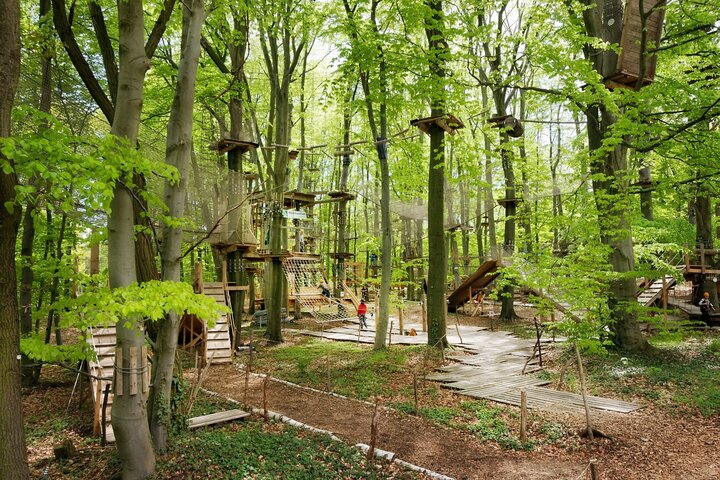 Experience Image img2