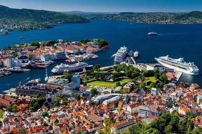 Uncover Bergen's Charm: A Personalized Walking Adventure