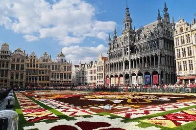 Discover Brussels: A Personalized Walking Tour with a Local Expert
