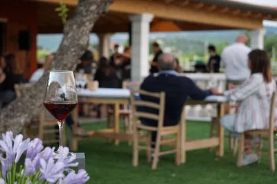Unveiling Amarone: A Valpolicella Winery Experience