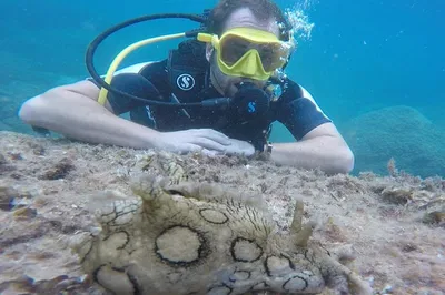 Dive into Adventure: Scuba Experience in Taormina's Marine Reserve