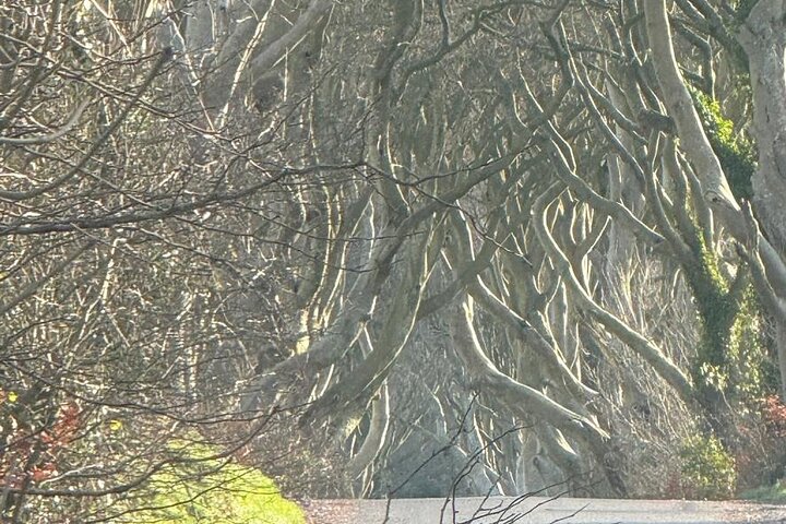 Unleash Your Inner Stark: Dublin's Epic 'Game of Thrones' Private Tour!