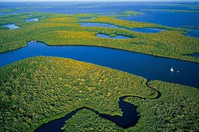 Unleash Your Inner Explorer: Private Everglades Airboat Adventure!