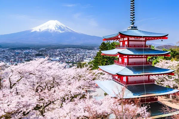 Mt. Fuji Private Tour: English Driver from Tokyo