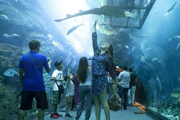 Dive into Wonder: Dubai Aquarium & Underwater Zoo Adventure!