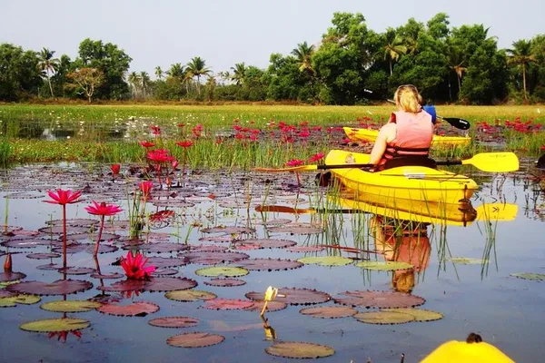 Paddle Through Paradise: Goa's Enchanting Kayaking Adventure!
