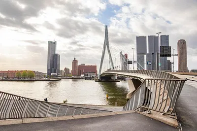 Unlock Rotterdam's Architectural Secrets: A Private Tour