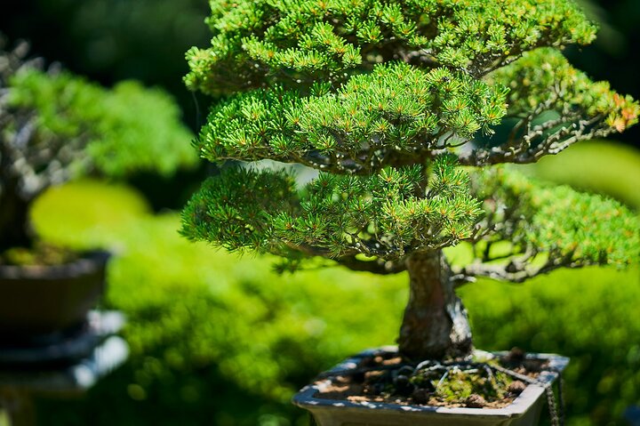 https://images.dyvarcity.com/experience-images/dyvarcity_d4ad76544ef914c74729b5f7a_3e.jpg