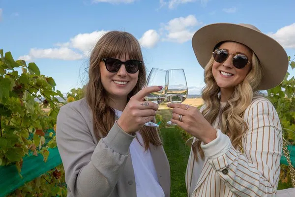 Nova Scotia Wine Tour: A Sommelier-Led Culinary Adventure