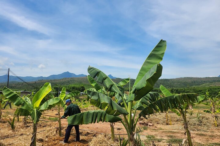 Experience Image img3