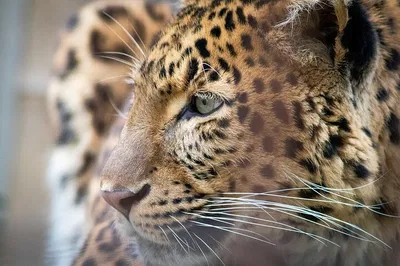 Unveiling India's Splendor: A Golden Triangle Private Tour