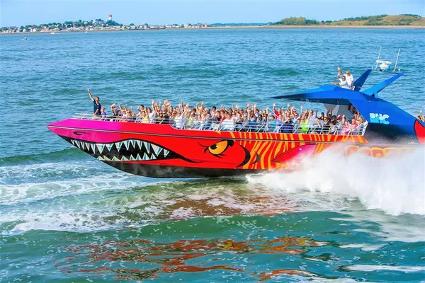Boston Codzilla: High-Speed Thrill Boat Ride!