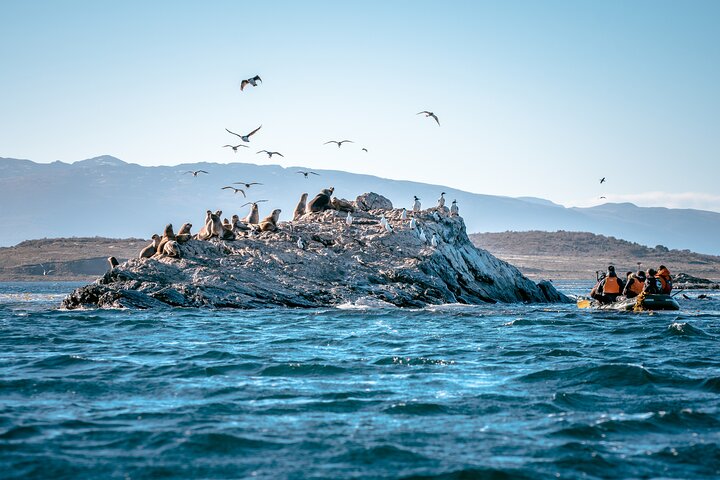 Uncover Tierra del Fuego: A Full-Day 4x4 Adventure to Secluded Puerto Almanza