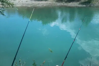 Cast Away in Provence: A Fishing Adventure for All Skill Levels
