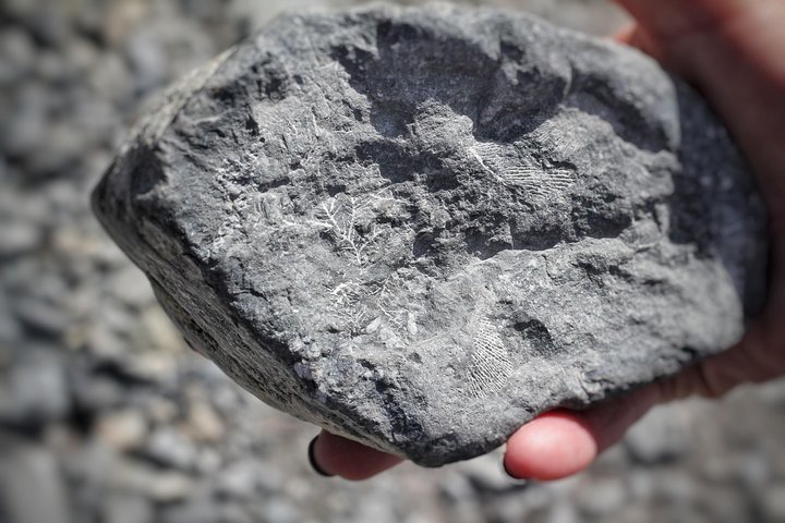 Experience Image img3