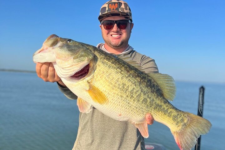 Reel in the Big One: Guided Bass Fishing on Canyon Lake!