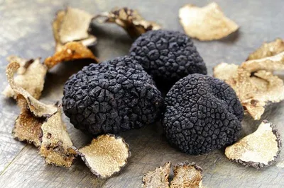 Unearth Umbrian Delights: Truffle Hunt, Olive Oil & Wine Tasting Day Trip