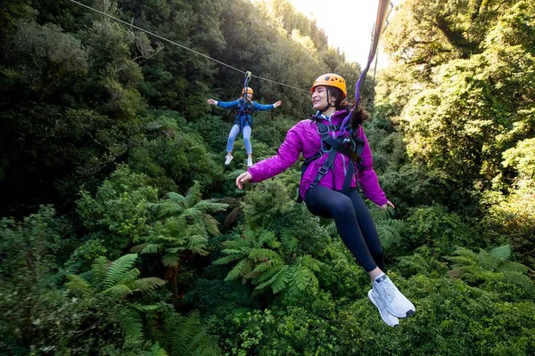 Auckland's Ultimate Canopy Zipline: Soar Through New Zealand's Ancient Forest