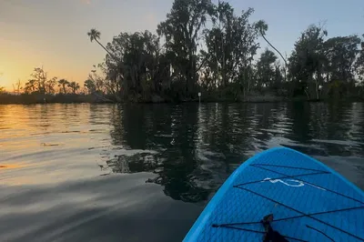 Sunrise Manatee Meditation Kayak Tour in Kings Bay