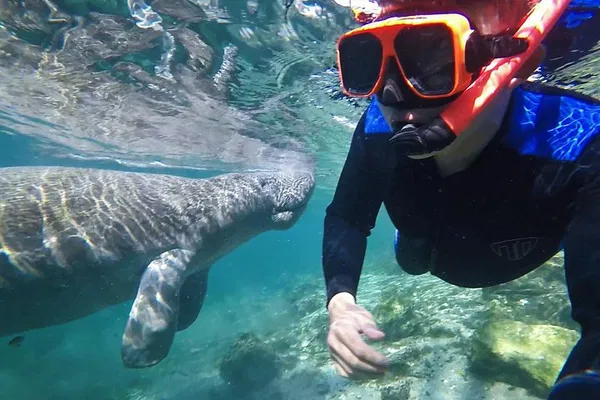Swim with Manatees: Crystal River Adventure & Photos!