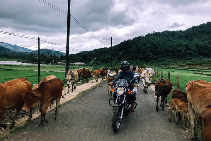 Experience Image img2