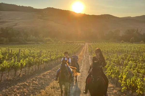 Tuscany's Montepulciano: An Enchanting Horseback Adventure Through Rolling Hills