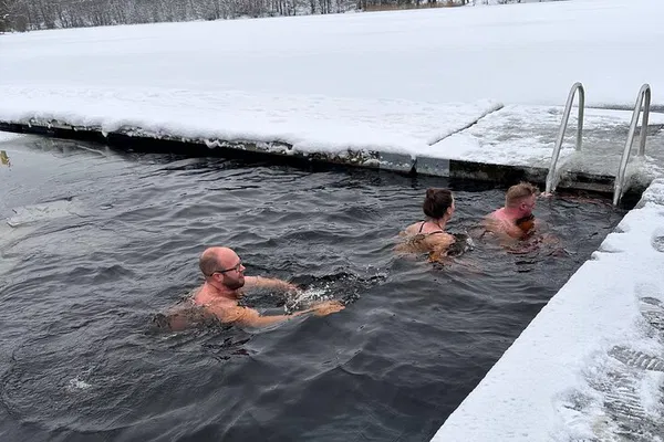 Stockholm Nature Immersion: Sauna and Ice Bathing Adventure