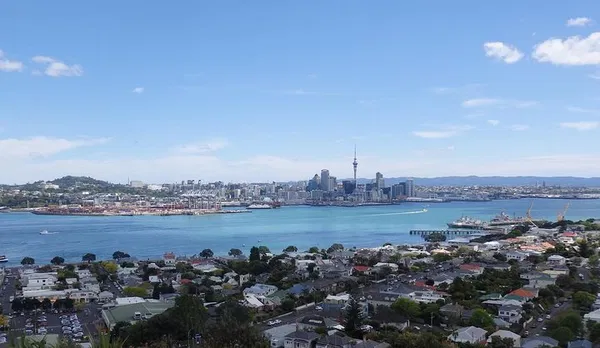 Auckland's Best Sights: Half-Day Scenic Tour