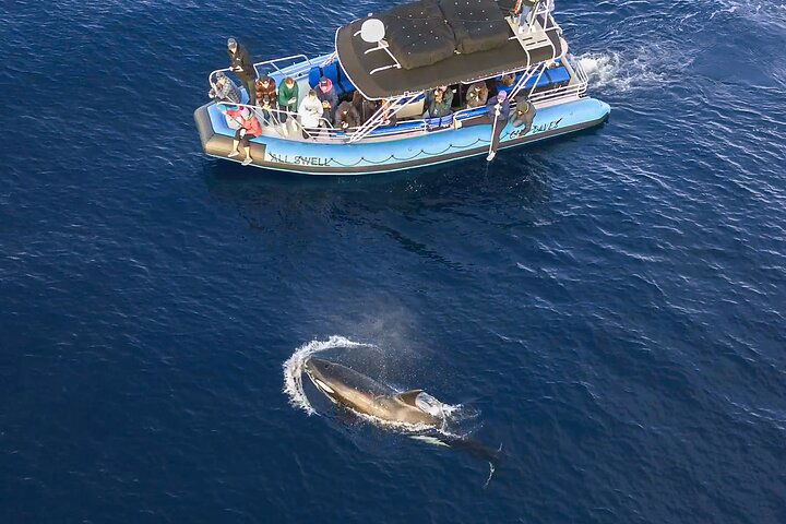 Experience Image img1