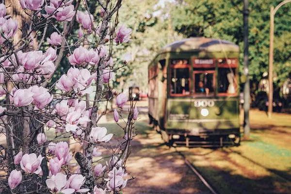 Discover New Orleans: An Unforgettable Private Tour Experience