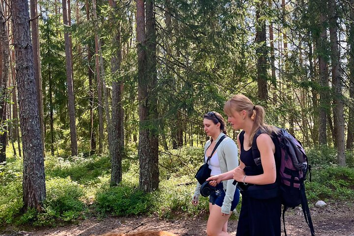 Experience Image img4