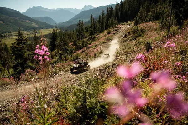 Whistler: Cougar Mountain Side-by-Side Off-Roading Adventure