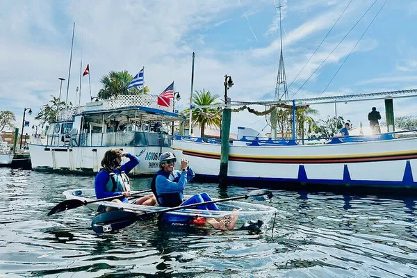 Glide into Wonder: Clear Kayak Ecotour of Tarpon Springs' Aquatic Realm